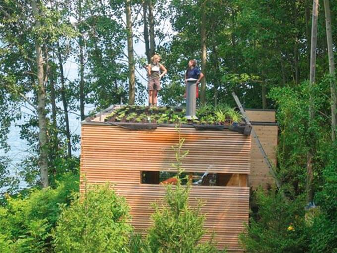 guest house green roof